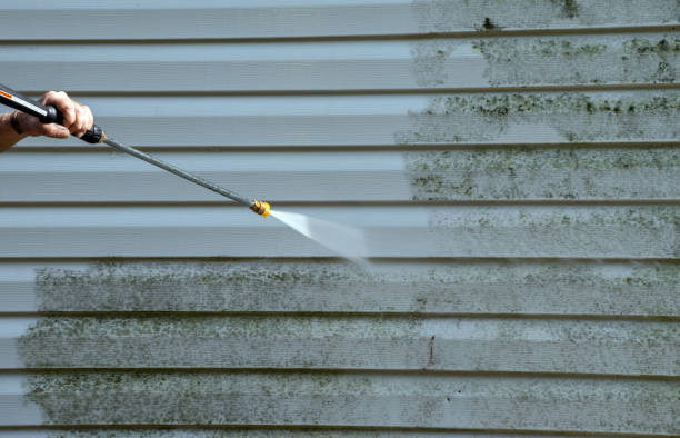 Best Deck Pressure Washing  in Kirbyville, TX