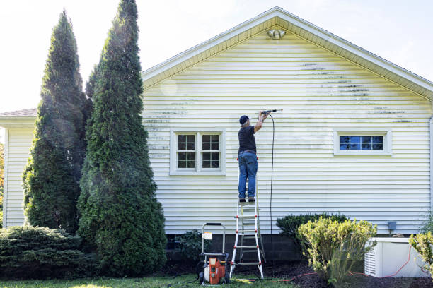 Best Local Pressure Washing Services  in Kirbyville, TX